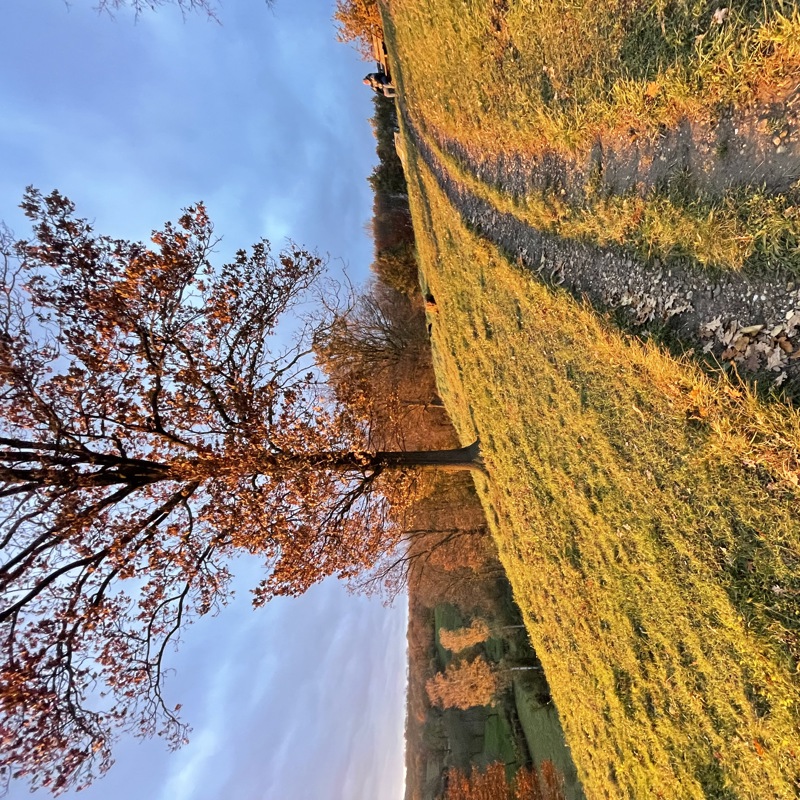 Zonsondergang op een heuvel in Zuid-Limburg tijdens de herfst