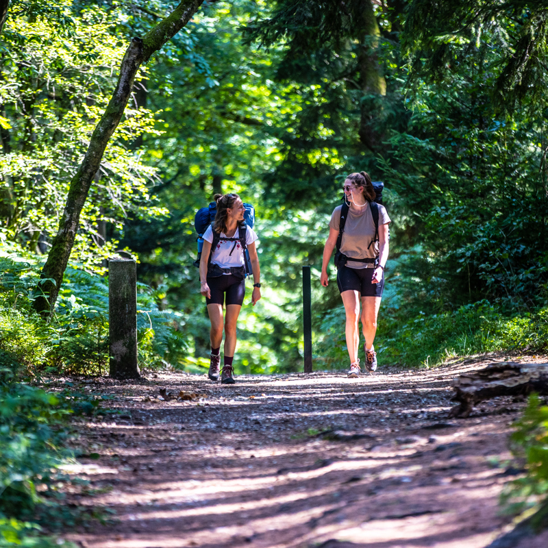 Twee backpackers wandelen door het bos bij het Drielandenpunt