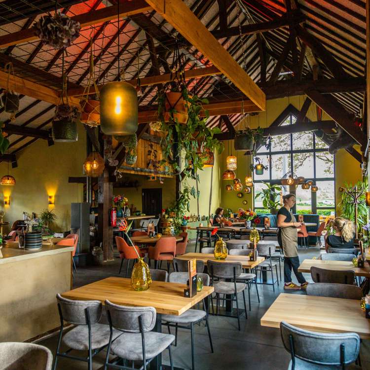 Interieur van een gezellig kleurrijk restaurant met veel plantjes aan het plafond. 