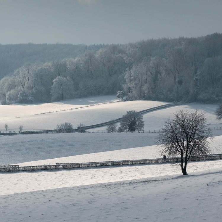 Geuldal onder een laagje sneeuw met het bos op de achtergrond.