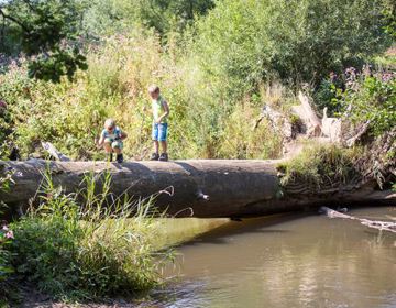 Kinderen lopen over een omgevallen boomstam boven het water