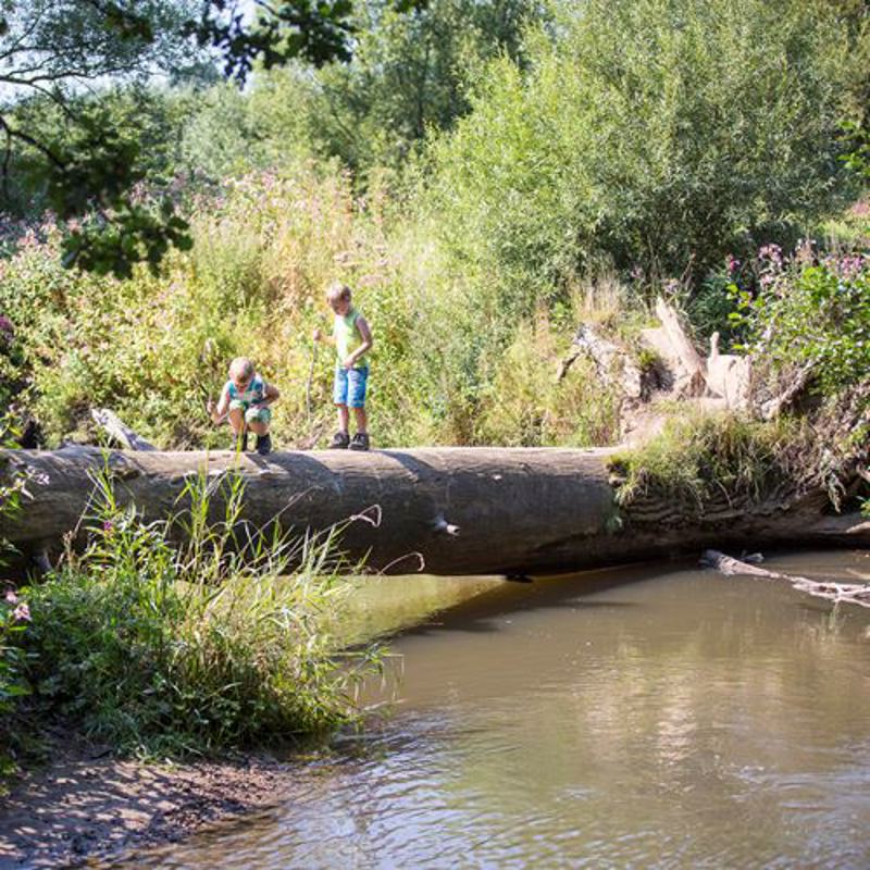 Kinderen lopen over een omgevallen boomstam boven het water