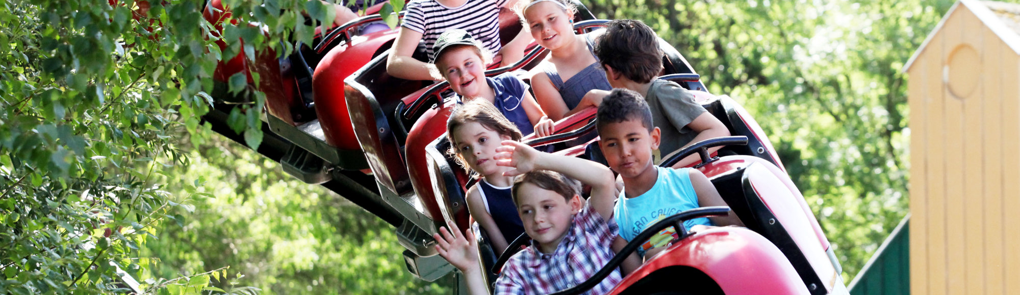 Kinderen in een kinderachterbaan in het groen