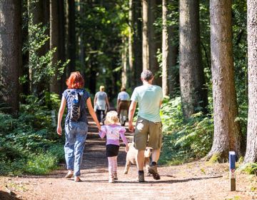 Gezin wandelt met hond in het bos