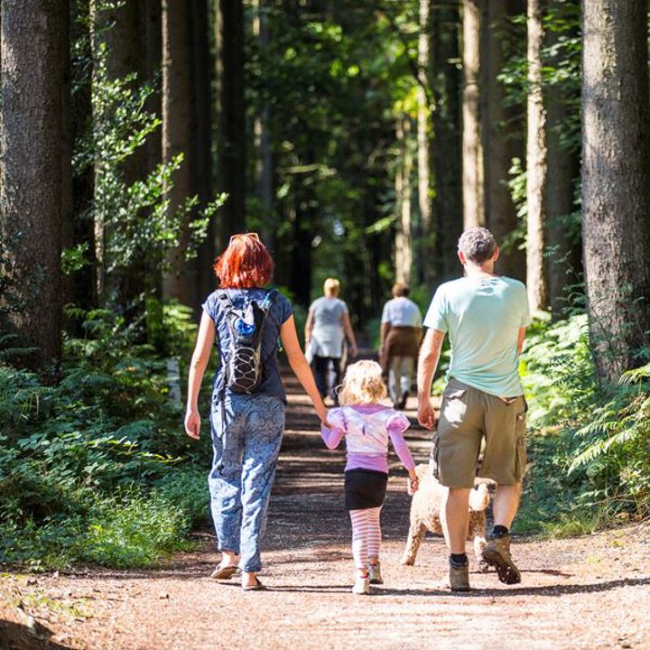 Gezin wandelt met hond in het bos