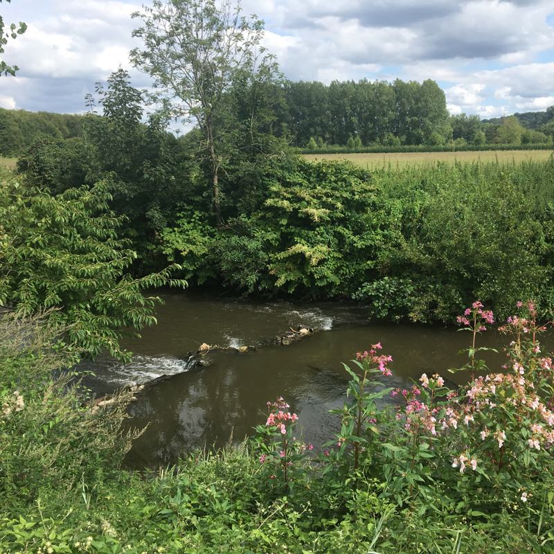 Beekje omringd door natuur. 