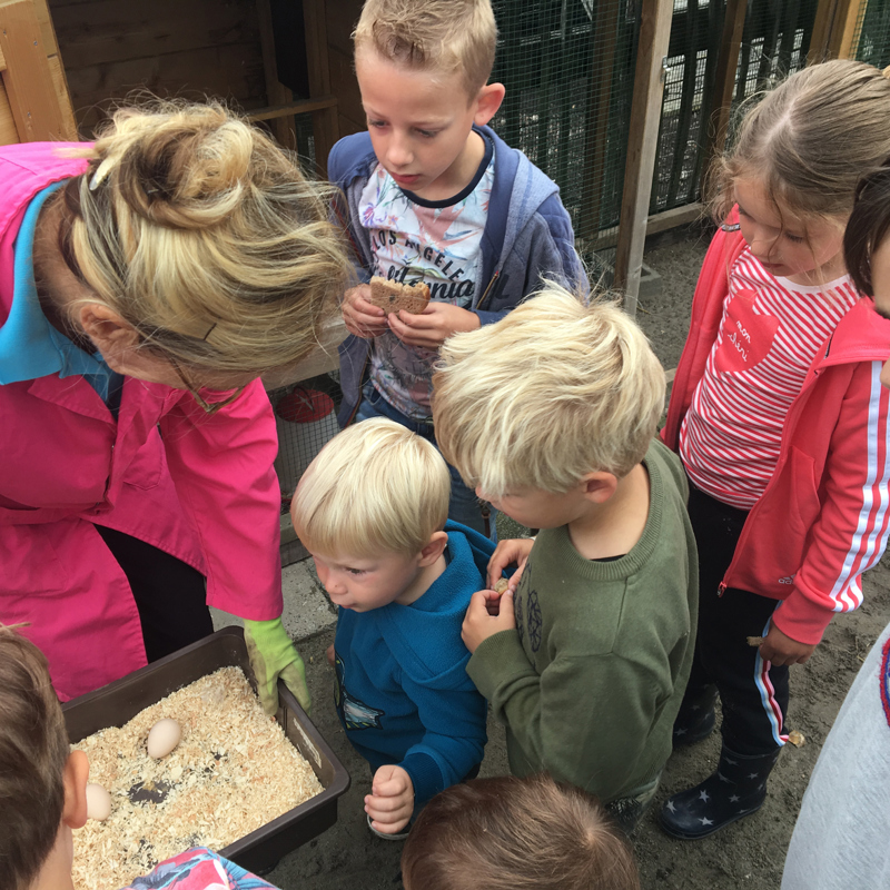 Kinderen kijken vol aandacht naar gelegde eieren die worden getoond. 