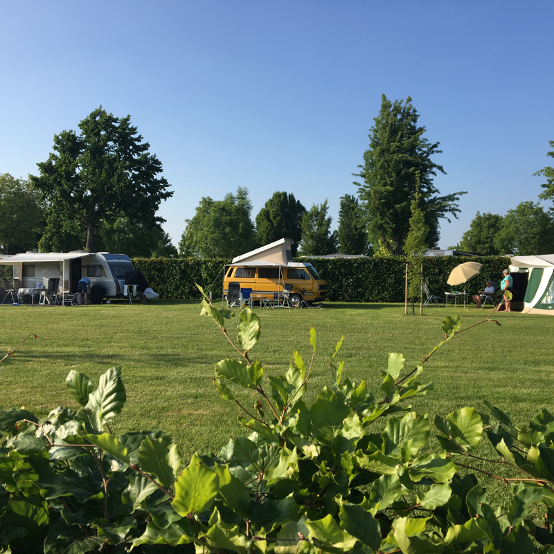 Sfeerfoto van de camperplaats met diverse campers en tenten. 