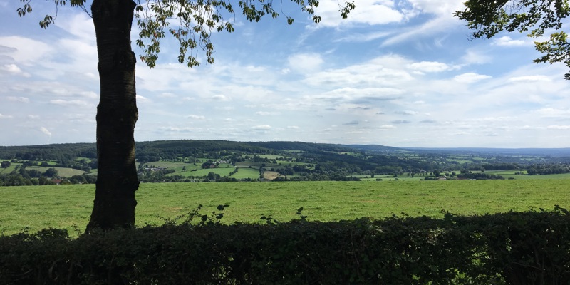 uitzicht achter de heg van het zuid-limburgse heuvelland. 