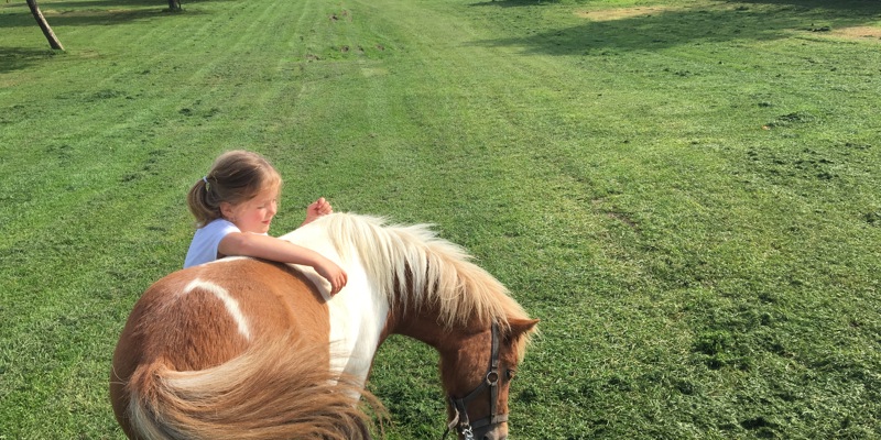 Kindje knuffelt met pony op de camping. 