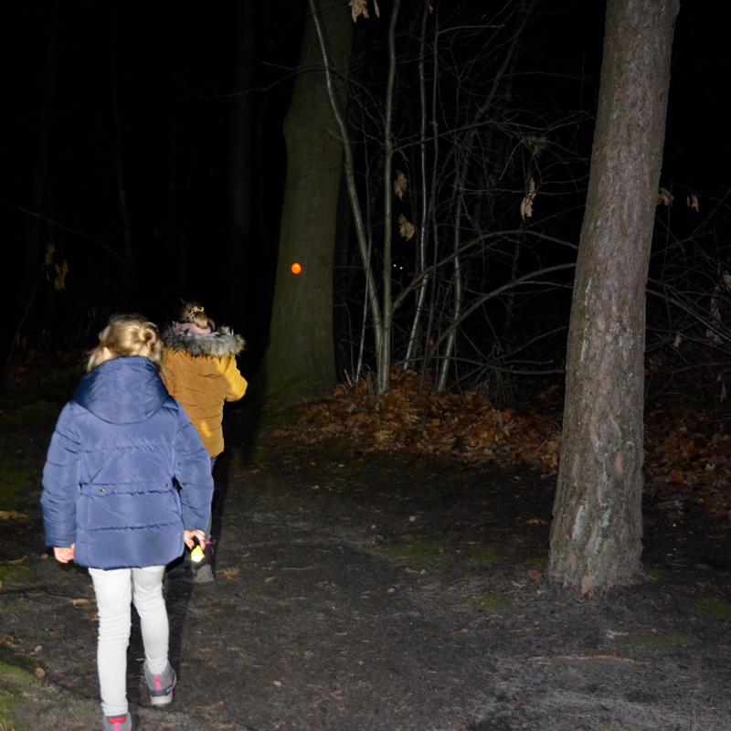 2 kinderen lopen in het donker door het bos