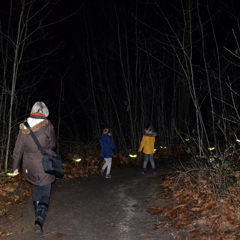 2 kinderen en een vrouw lopen in het donker over een onverharde weg
