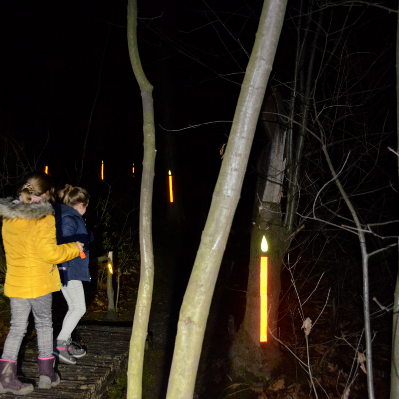 2 meisjes lopen in een donker bos waarbij er op de stammen van enkele bomen lichtgevende afbeeldingen van kaarsen zichtbaar zijn