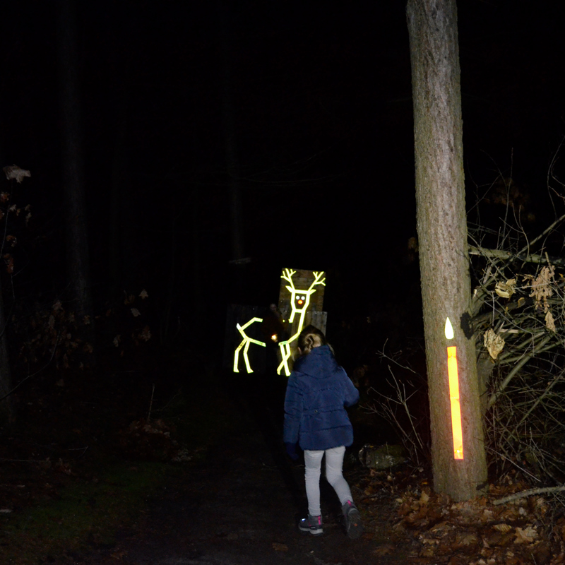 Een meisje kijkt naar een opgelichte afbeelding van een hert in een donker bos