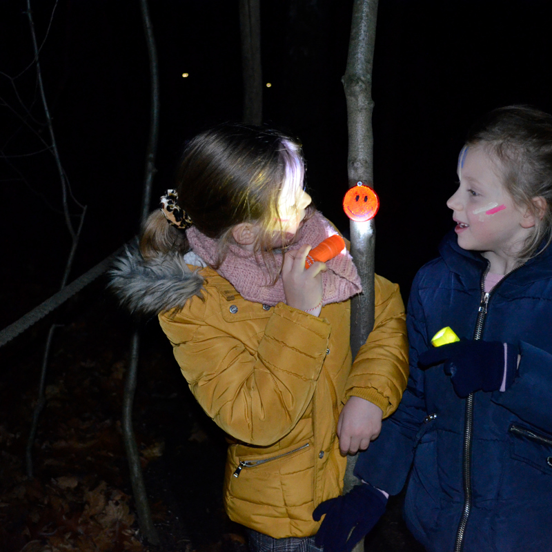 2 meisjes schijnen met een zaklamp op de afbeelding van een kleine pompoen hangende aan een boomstammetje