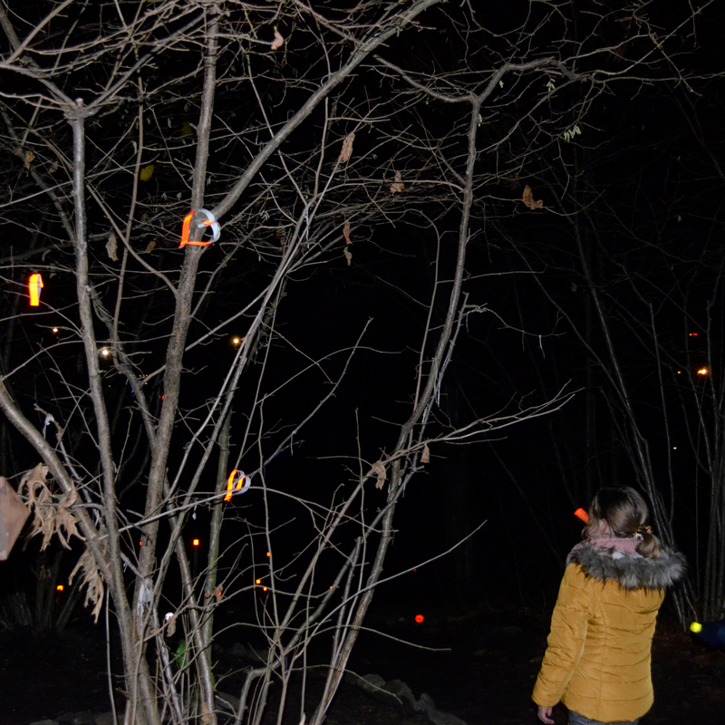2 meisjes lopen in het donker langs een boom waarin reflecterende elementen hangen