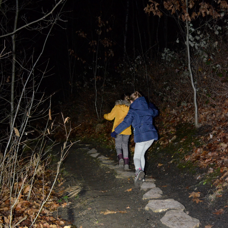 2 meisjes balanceren over stenen in een donker bos