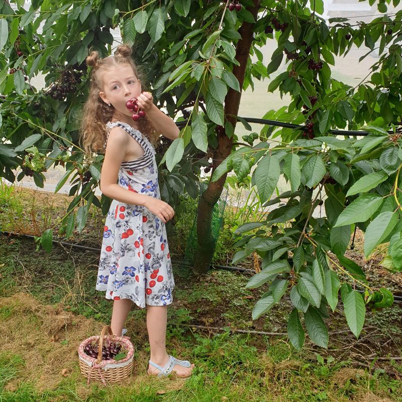 Meisje stopt geplukte kers uit boom in haar mond