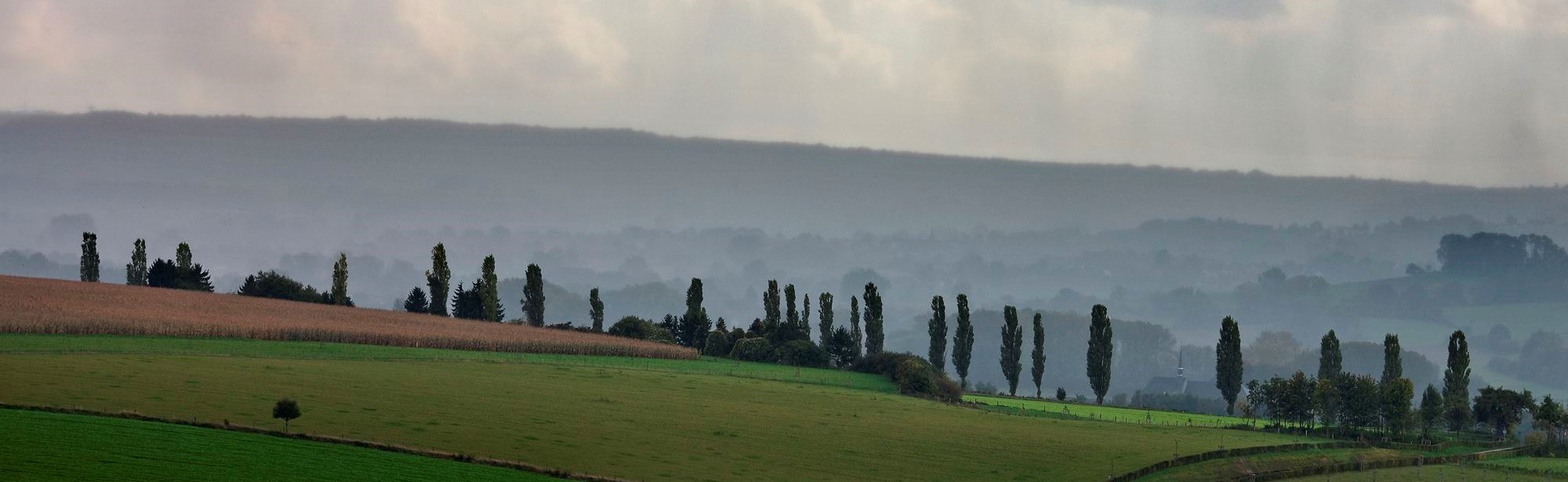 Toscaans landschap bij Eys