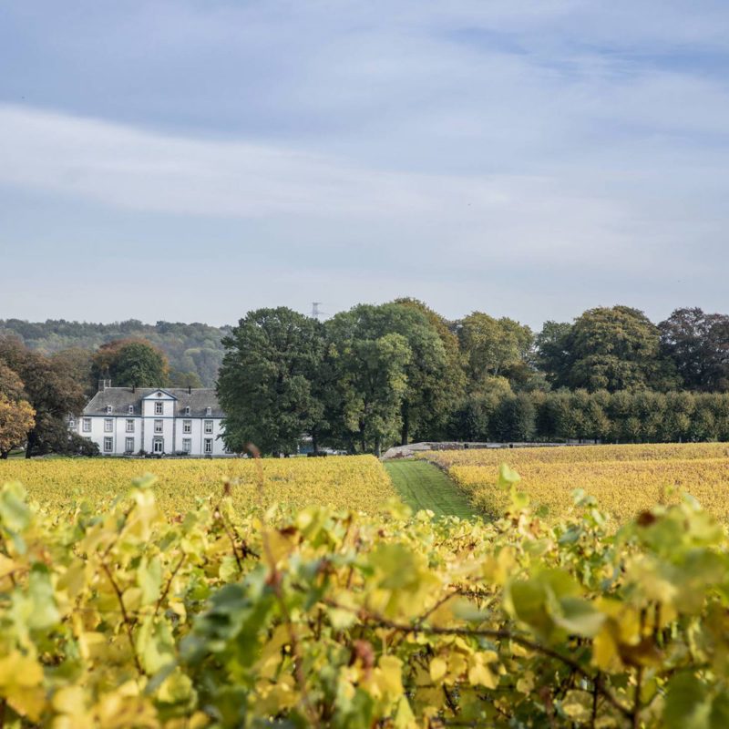 Zicht over het Wijnkasteel Genoels-Elderen in Riemst België