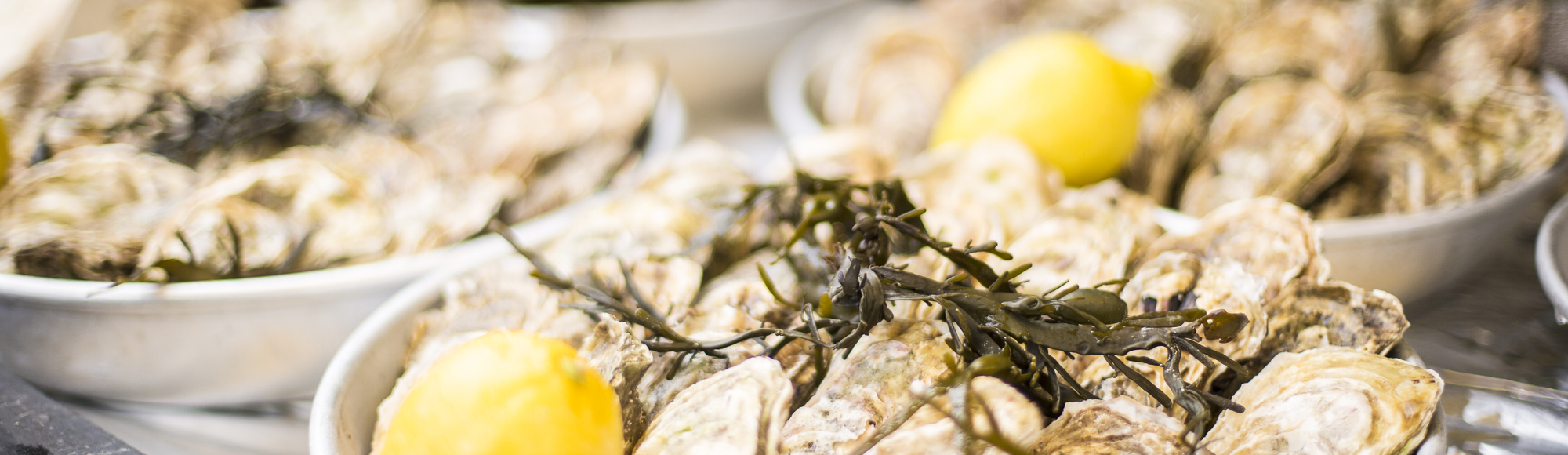 Borden met oesters en citroenen 