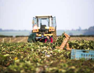 Boer is aan het werk in een oogstveld met zijn tractor