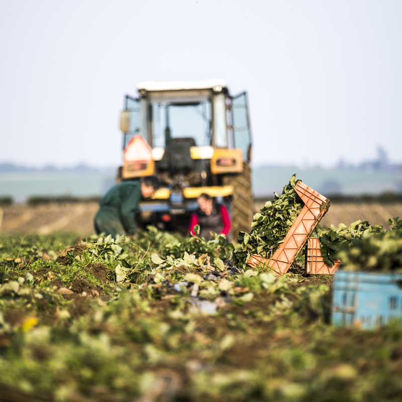 Boer is aan het werk in een oogstveld met zijn tractor