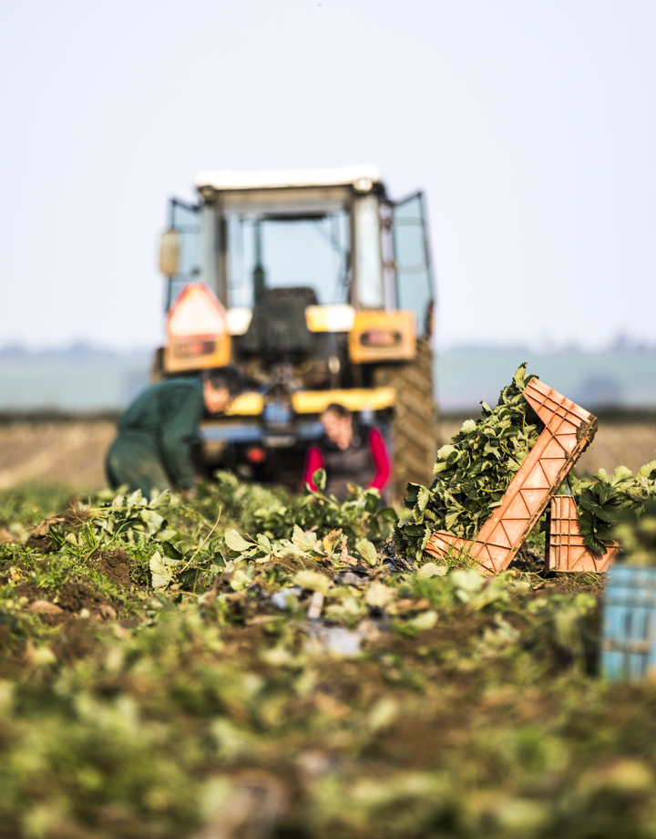 Boer is aan het werk in een oogstveld met zijn tractor