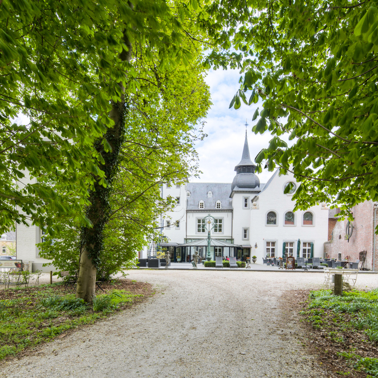 Oprijlaan onder de bomen door richting een kasteel. 