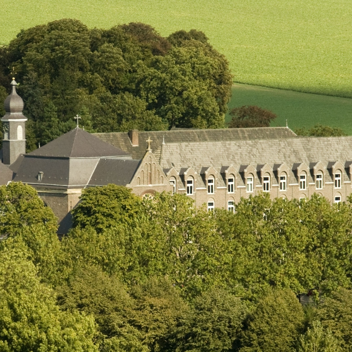 Top van de bomen met daarachter een klooster. 