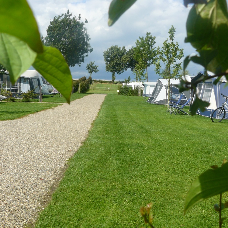 doorkijkje langs bladeren over een mooie campingplaats 