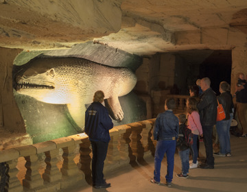 Rondleiding langs een sculptuur van de Mosasaurus in de Gemeentegrot Valkenburg