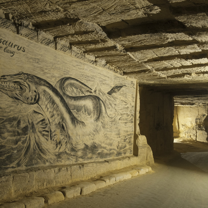 Wandschilderij van de Mosasaurus in de Gemenetegrot Valkenburg