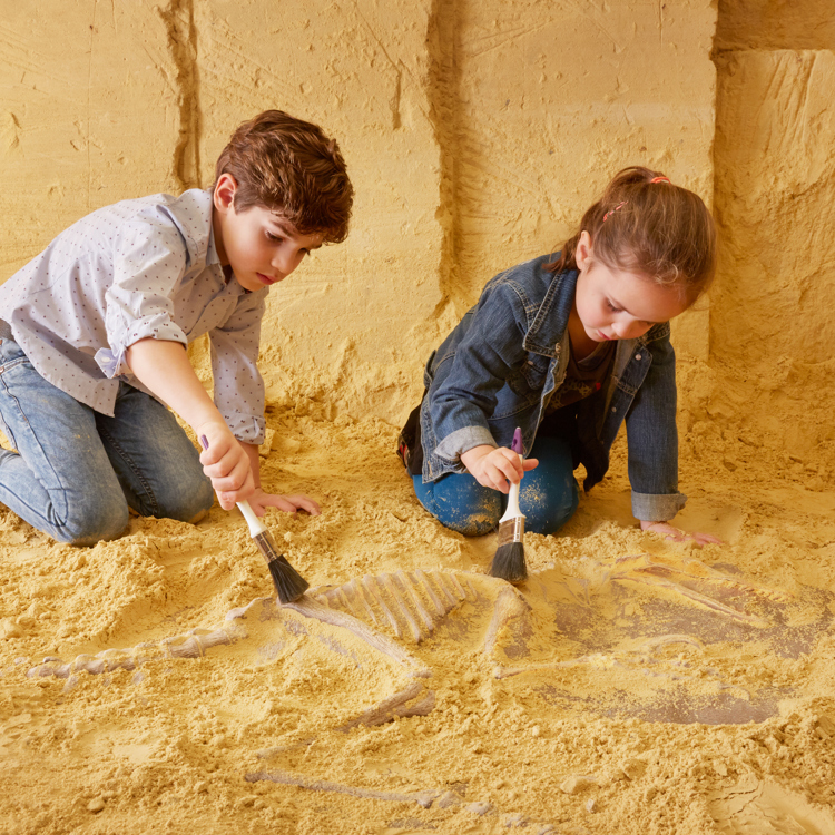 Kinderen ontdekken een skelet in MergelRijk Valkenburg