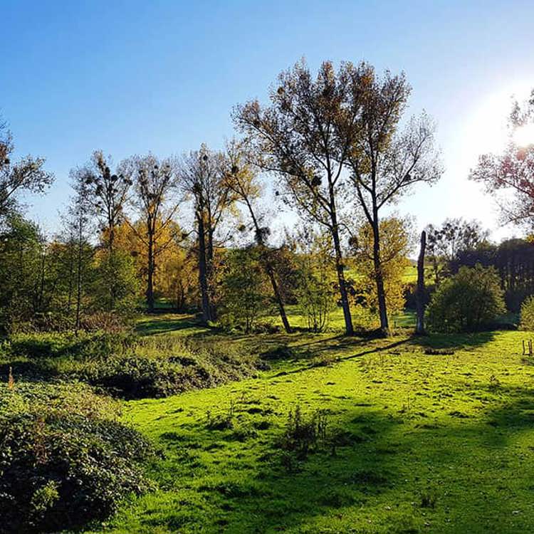 Een sfeerbeeld van het geuldal, met gras, groen en bomen.