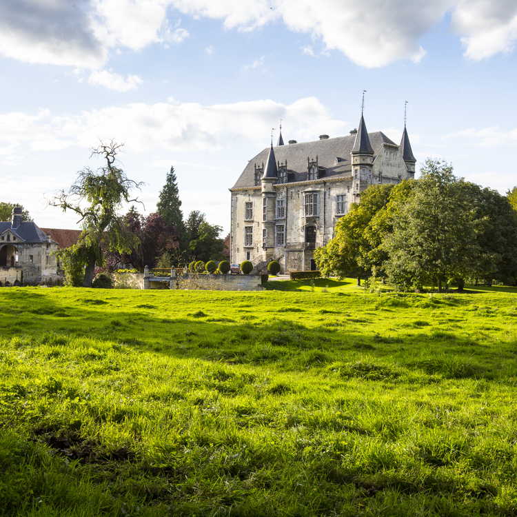 Aanzicht van Kasteel Schaloen met grasveld op de voorgrond