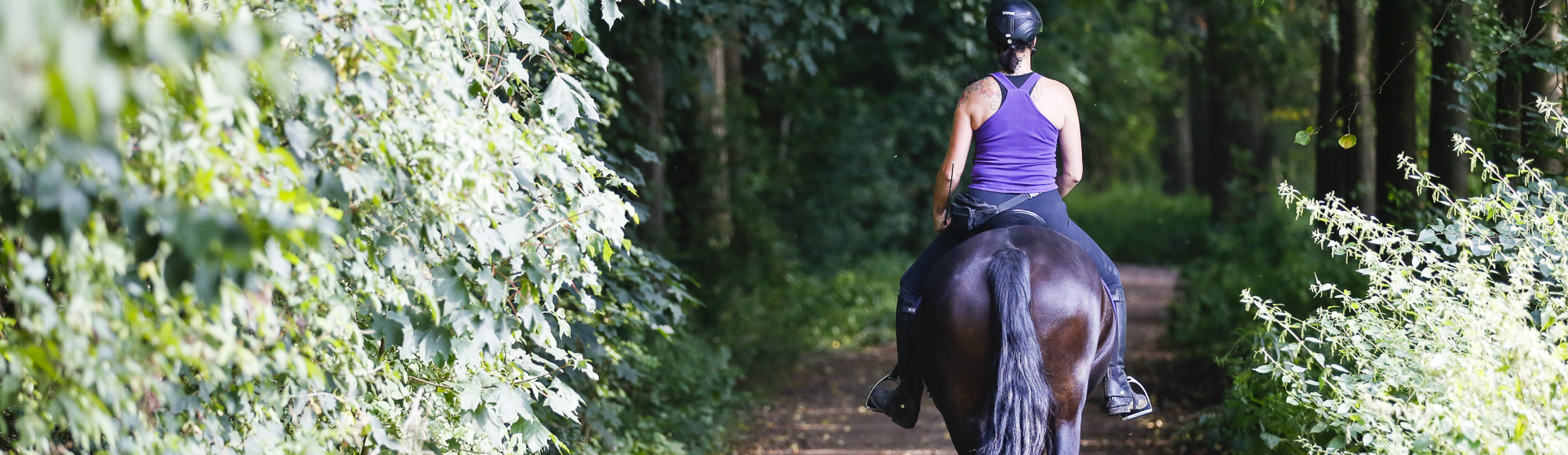 Paardrijdster op bruin paard op bospad