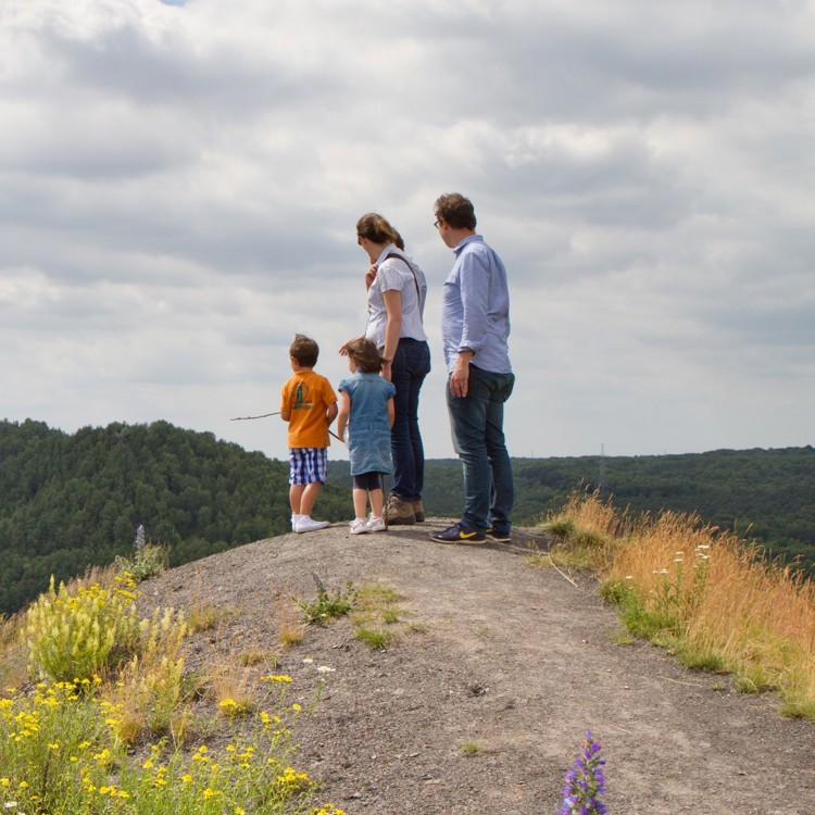 Gezin geniet van het uitzicht bij Nationaal Park Hoge Kempen