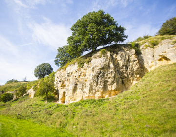 Mergelrots op Bemelerberg 