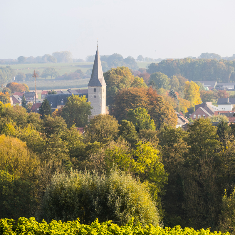 Kerk van Noorbeek prijkt boven herfstige bomen