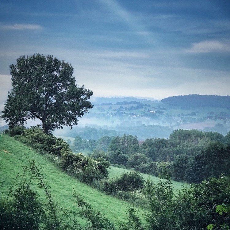 Mistig landschap bij Vijlen