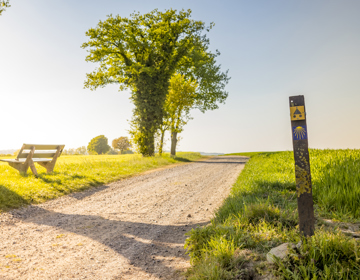 Onverharde veldweg met boom, rustbankje en bewegwijzeringspaaltje