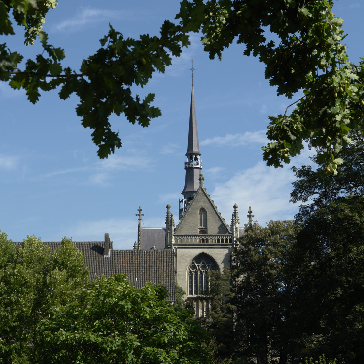 Doorkijkje door bomen naar Basiliek Meerssen