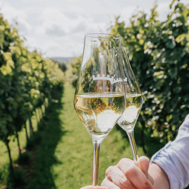 Close up van 2 handen proosten met gevulde champagneglazen in wijngaard