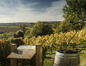 Infobord van Route des Vins naast wijnvat in wijngaard met uitzicht over Heuvellandschap