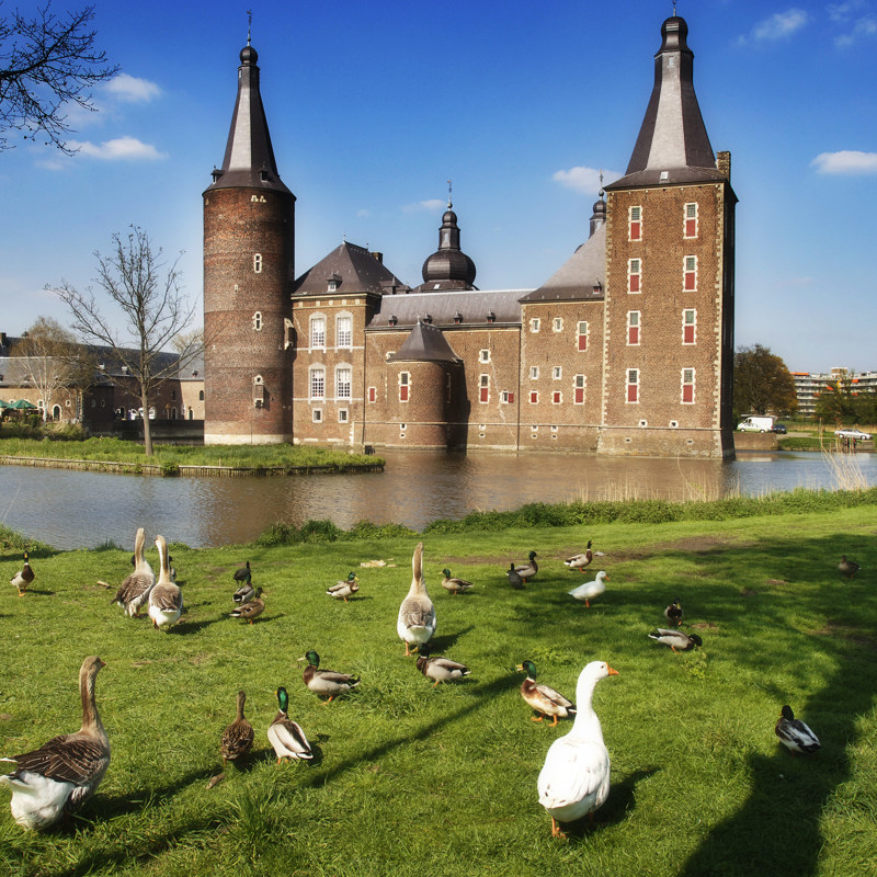 Eendjes lopen op het grasveld voor Kasteel Hoensbroek