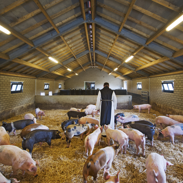 Abdij Lilbosch - waar de monniken voor de Livar varkens zorgen