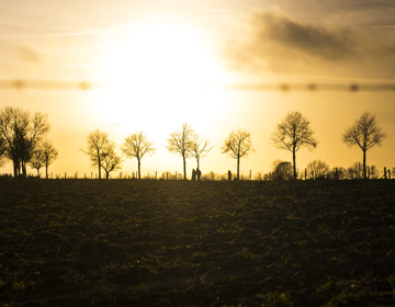 Wandelaars langs weg vanaf veld met zonsondergang