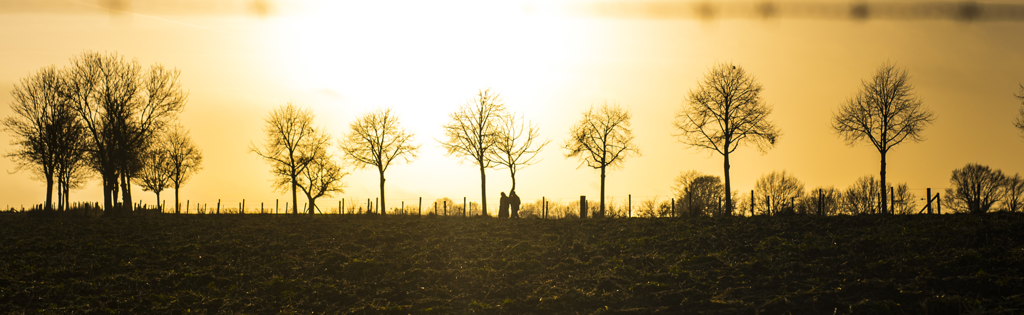 Wandelaars langs weg vanaf veld met zonsondergang