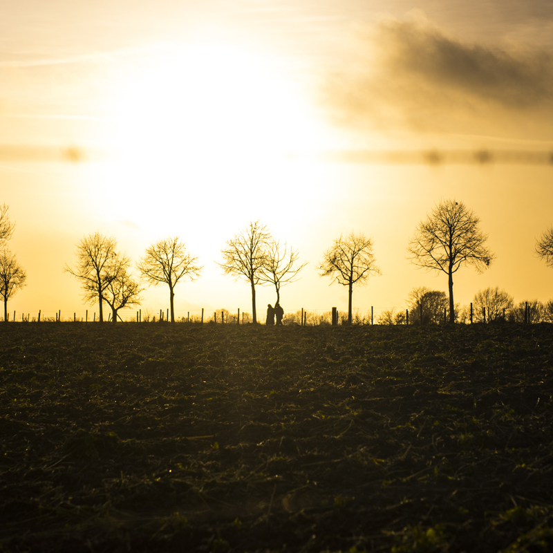 Wandelaars langs weg vanaf veld met zonsondergang